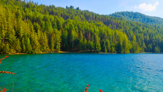Rara Lake Trek