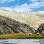 Limi Valley Trek