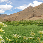 Lower Dolpo Trek
