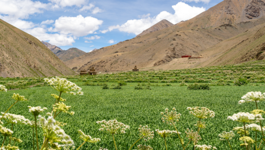 Lower Dolpo Trek – 8 Days (Copy)