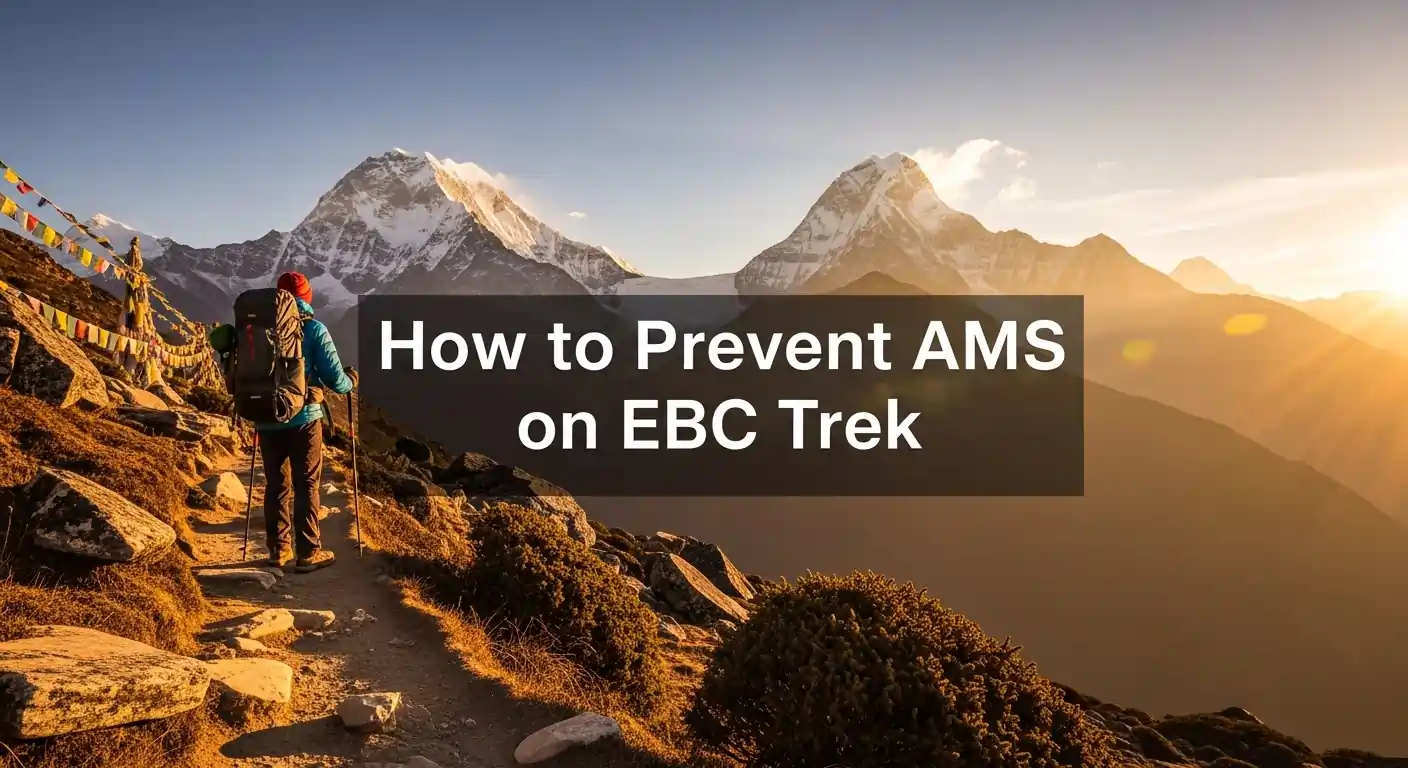 How to prevent AMS on EBC trek?