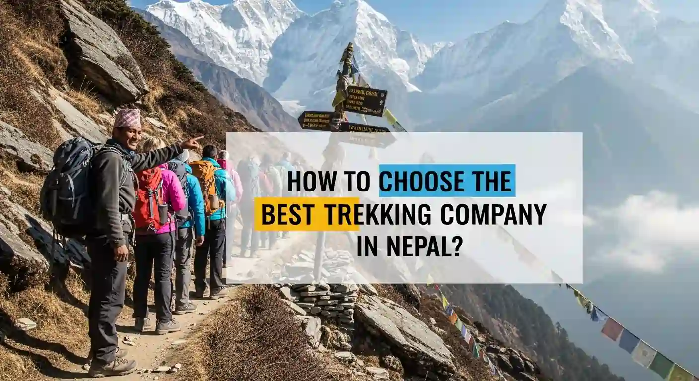 How to Choose the Best Trekking Company in Nepal? Complete Guide For 2026