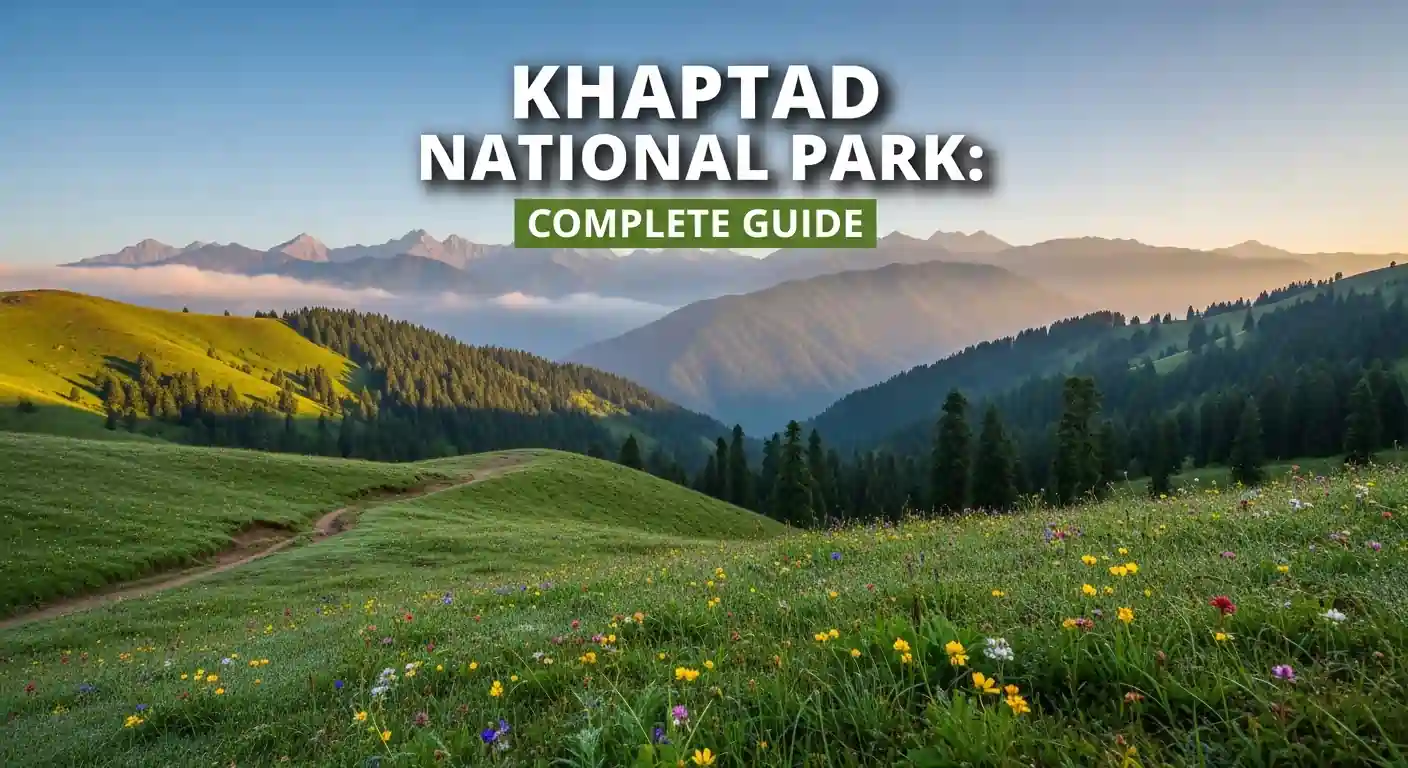 Khaptad National Park Complete Guide : Everything You Need To Know
