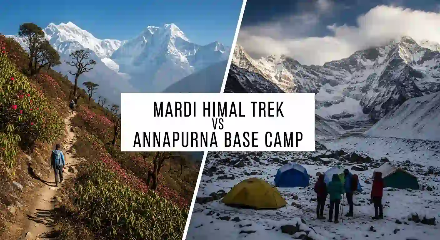 Mardi Himal Trek Vs Annapurna Base Camp: Which is Best For You?
