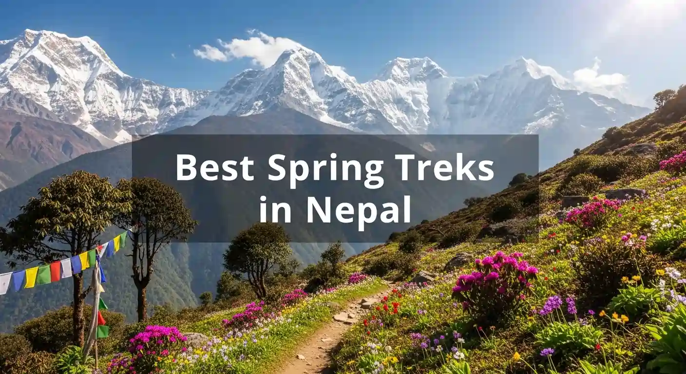 Best Spring Treks in Nepal 2026: Top 12 Routes for March to May