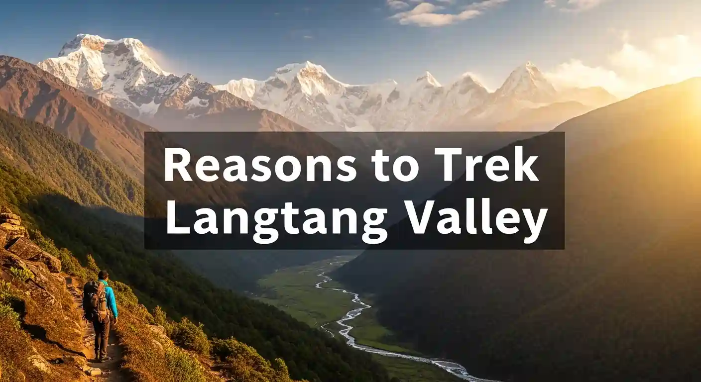 8 Incredible Reasons to Trek Langtang Valley in 2026