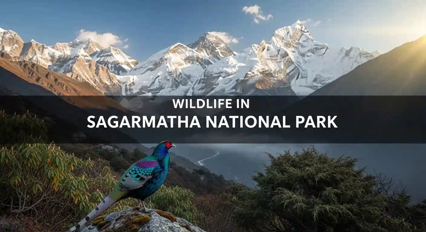 Wildlife in Sagarmatha National Park: What Trekkers Need to Know